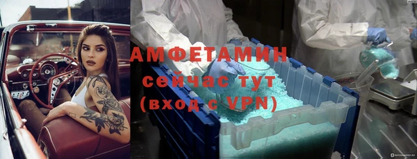 гидра Михайловск
