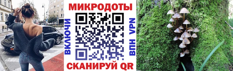 Псилоцибиновые грибы Magic Shrooms Камбарка